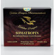 HGH Somatropin - Golden Dragon